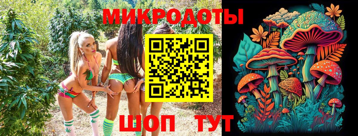 Галлюциногенные грибы Psilocybe Клин